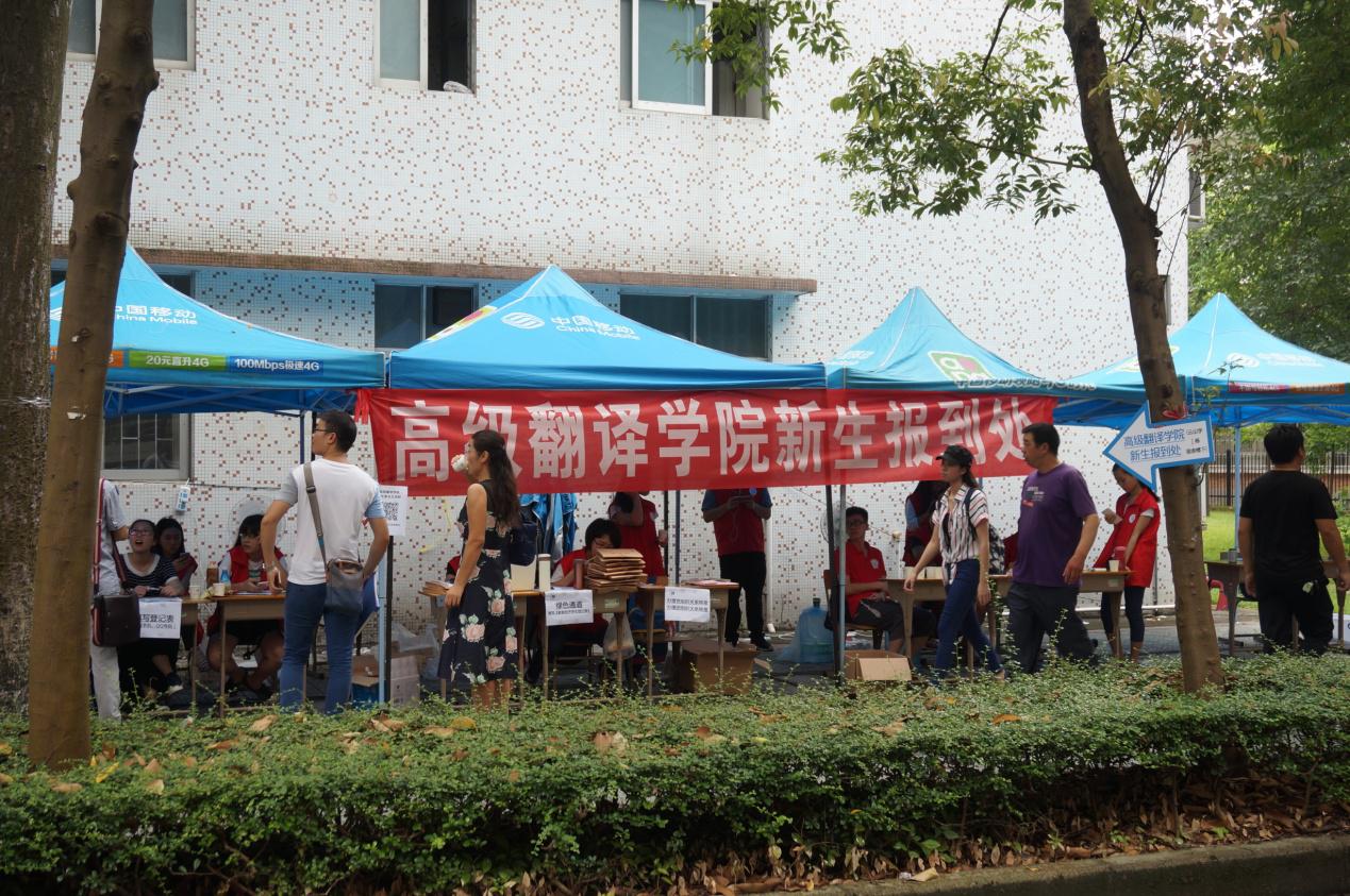 翻译学院报到处